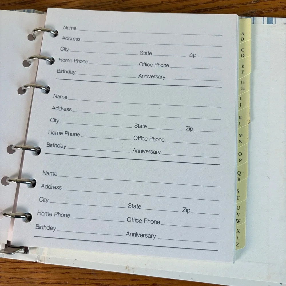 Vintage Apple Print Address Book 6 Ring Binder Organizer Blue White Stripe 90s